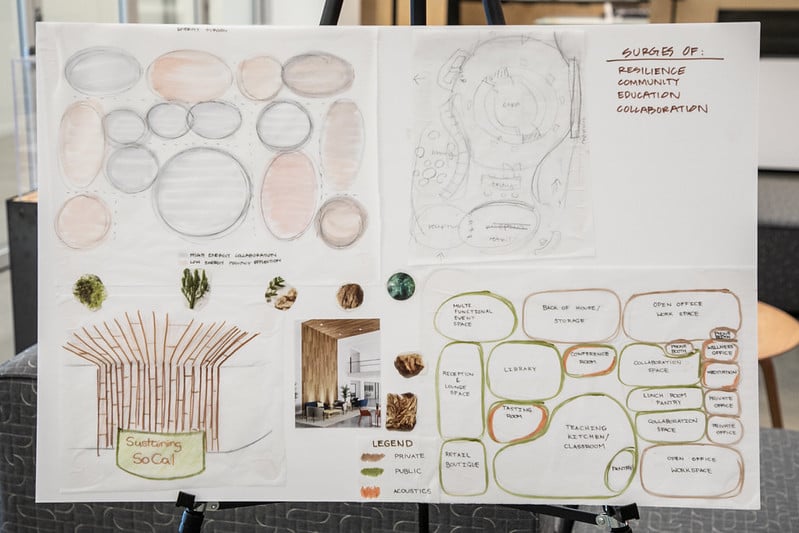 54426358416_719ac7d4c3_c